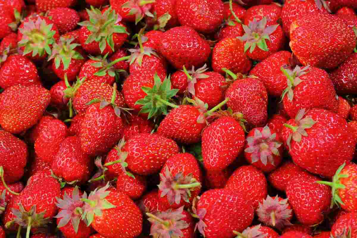 fresas, nata