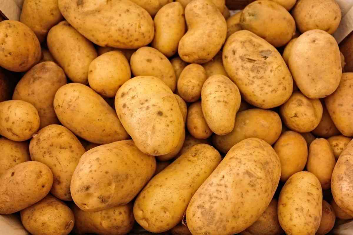Haz las mejores patatas de tu ciudad