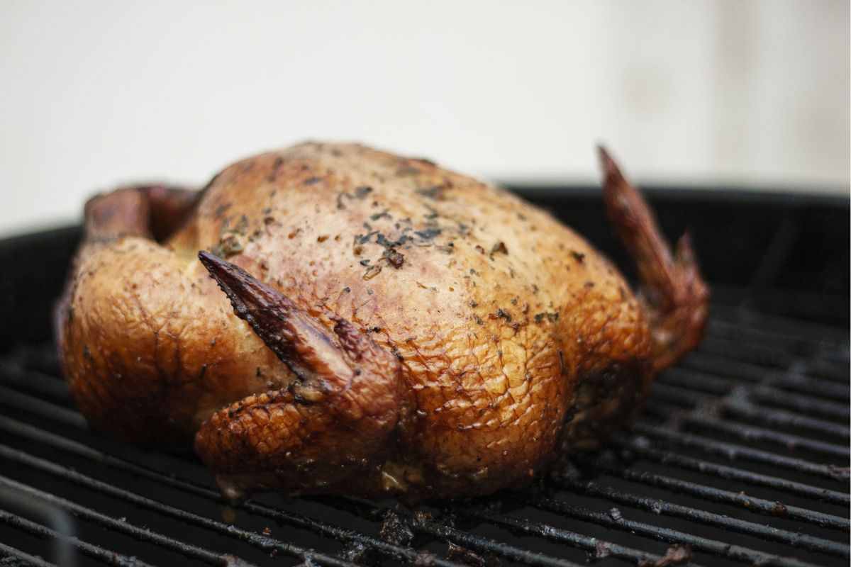 Pollo asado parrilla frito