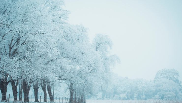 La nieve no solo es para disfrutar del esquí