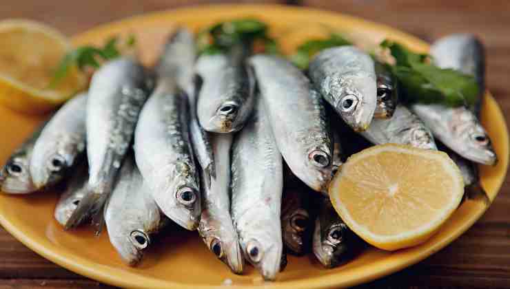 Sardinas, vitamina D, consejo, nutrición