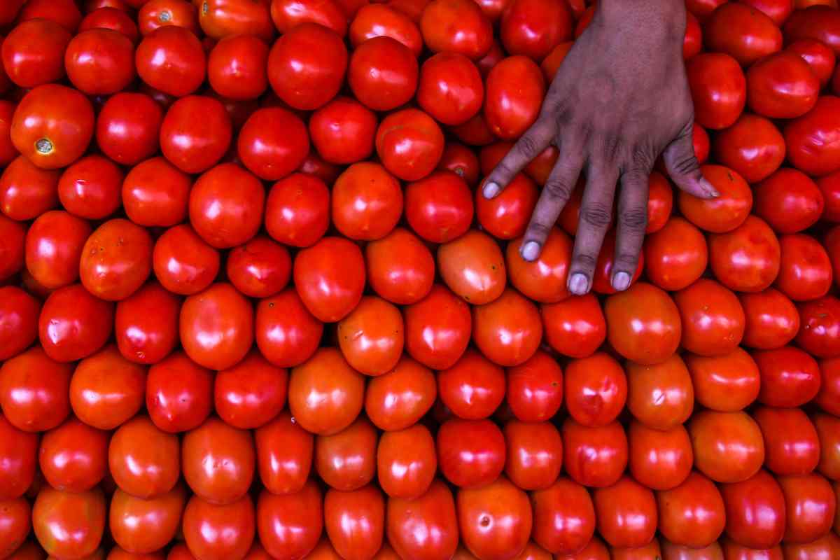 tomates dieta beneficios