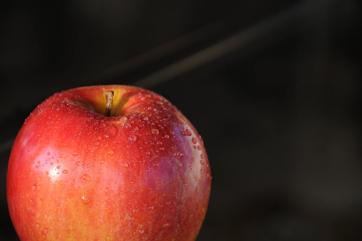 Manzana motivos fruta más saludable