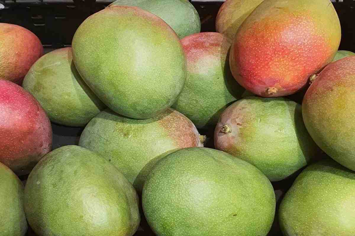 Espectaculares beneficios mango sorprenderán