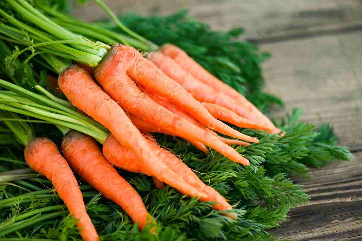 Beneficios de la Zanahoria
