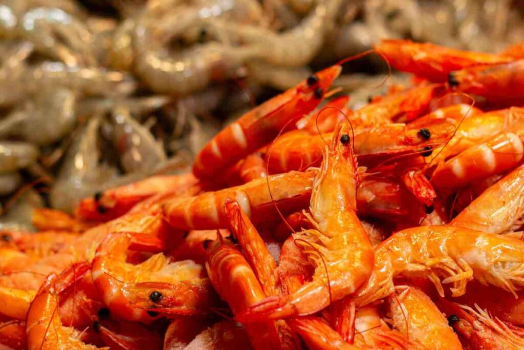 Las gambas y la salud: esto es lo que puede ocurrirte - Dieta.com